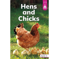 Hens and Chicks - Paperback
