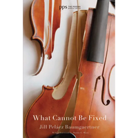 What Cannot Be Fixed - Paperback