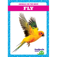 Fly - Library Binding