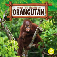 Orangutan - Paperback