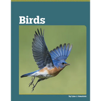 Birds - Library Binding
