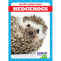 Hedgehogs - Paperback