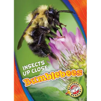 Bumblebees - Library Binding