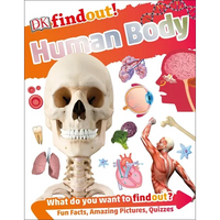 Dkfindout! Human Body - Paperback