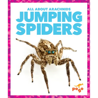 Jumping Spiders - Library Binding