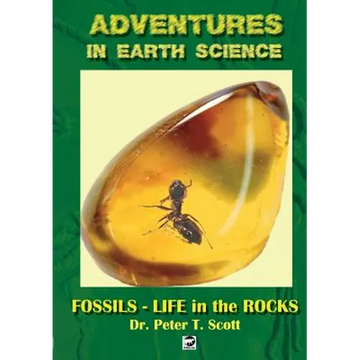 Fossils- Life in the Rocks - Paperback