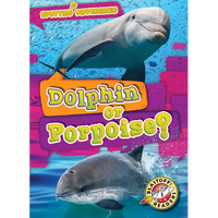 Dolphin or Porpoise? - Library Binding