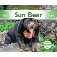 Sun Bear - Library Binding