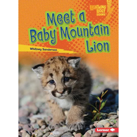 Meet a Baby Mountain Lion - Paperback