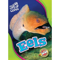 Eels - Library Binding
