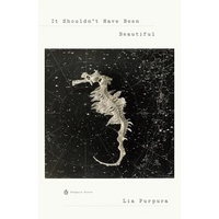 It Shouldn't Have Been Beautiful - Paperback