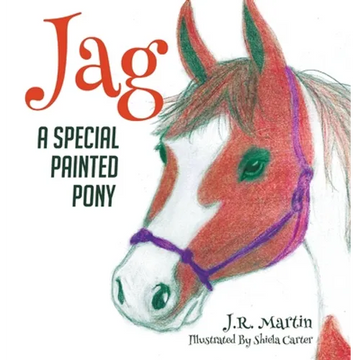 Jag: A Special Painted Pony - Hardcover