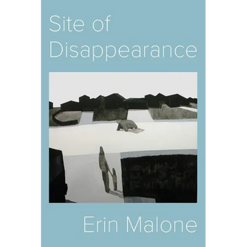 Site of Disappearance - Paperback