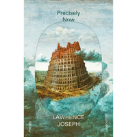 Precisely Now: Poems - Paperback