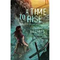 A Time to Rise: Volume 3 - Paperback