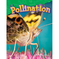 Pollination - Paperback