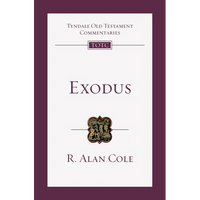 Exodus: An Introduction and Commentary - Paperback