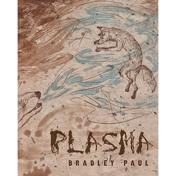 Plasma - Paperback