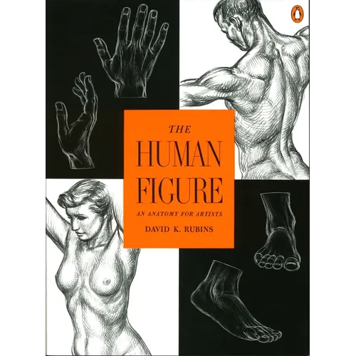 The Human Figure: An Anatomy for Artists