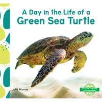 Day in the Life of a Green Sea Turtle - Library Binding