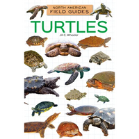 Turtles - Library Binding