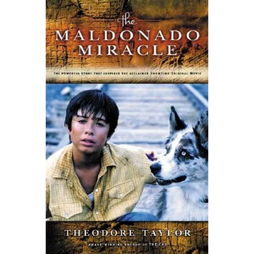 The Maldonado Miracle - Paperback