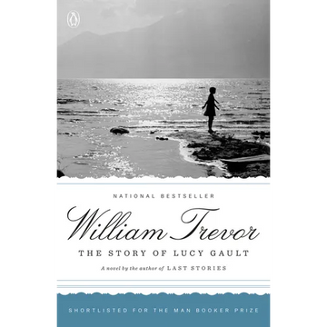 The Story of Lucy Gault - Paperback