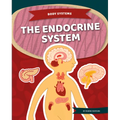 Endocrine System