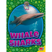 Whale Sharks - Paperback