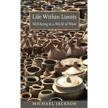 Life Within Limits: Well-being in a World of Want - Paperback
