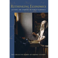 Rethinking Economics: Lectures and Seminars on World Economics (Cw 340, 341) Volume 340 - Paperback