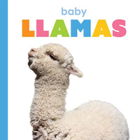Baby Llamas - Paperback