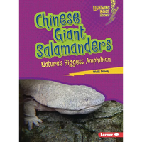 Chinese Giant Salamanders: Nature's Biggest Amphibian - Paperback