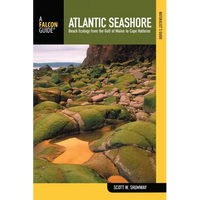 Naturalist's Guide to the Atlantic Seashore - Paperback