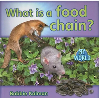 What Is a Food Chain? - Paperback