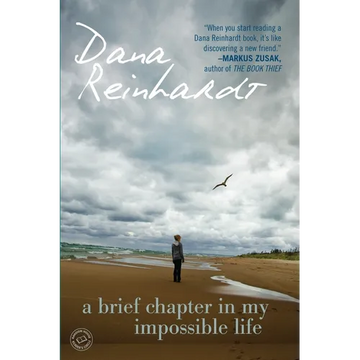 A Brief Chapter in My Impossible Life - Paperback