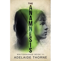 The Anamnesis - Paperback