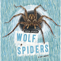 Wolf Spiders - Paperback