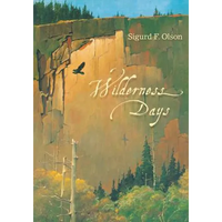 Wilderness Days - Paperback