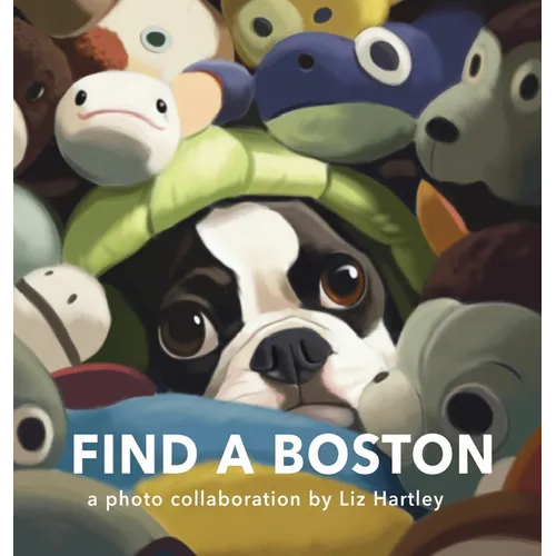 Find a Boston