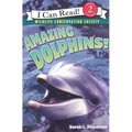 Amazing Dolphins!