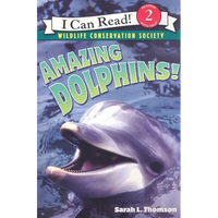 Amazing Dolphins! - Paperback