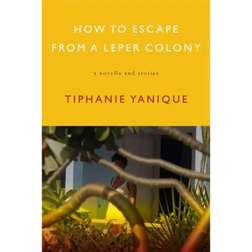 How to Escape from a Leper Colony: A Novella and Stories - Paperback
