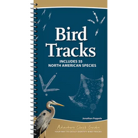 Bird Tracks: Includes 55 North American Species - Spiral
