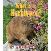 What Is a Herbivore? - Paperback