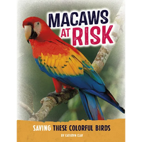 Macaws at Risk: Saving These Colorful Birds - Paperback