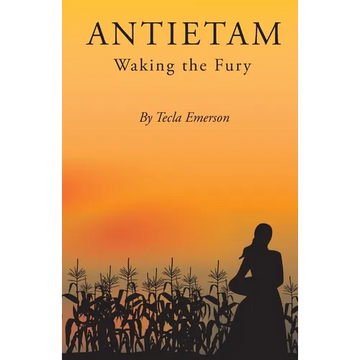 Antietam: Waking the Fury - Paperback