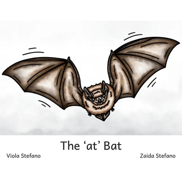 The 'at' Bat - Paperback