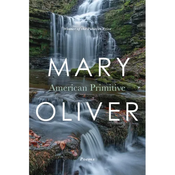 American Primitive - Paperback