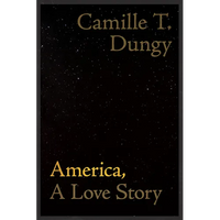 America, a Love Story - Paperback